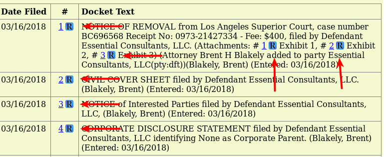 Docket for Stormy Daniels case showing link to RECAP