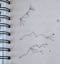 A sketch of networks with tendrils