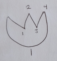 A tulip-shaped sketch